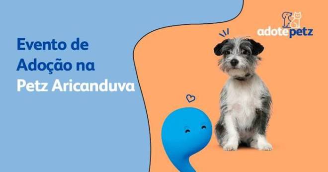 Pet Parque é atração para animais de estimação se divertirem de maneira  gratuita no Shopping Aricanduva