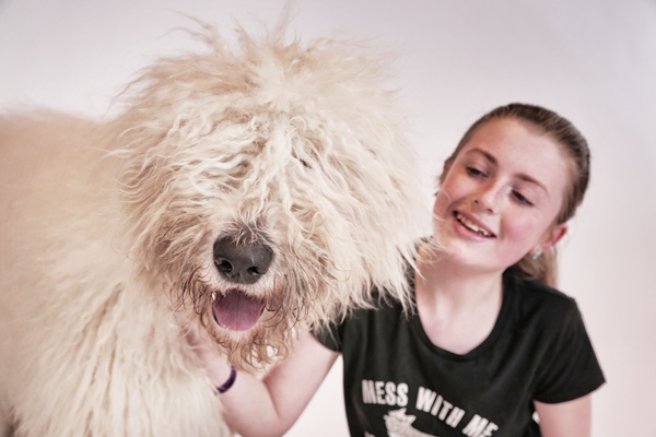 CNN Pets Extraordinários” apresenta o maior cão do mundo – Se Meu